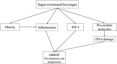 Sugar sweetened beverages, natural fruit juices, and cancer: what we know and what still needs to be assessed